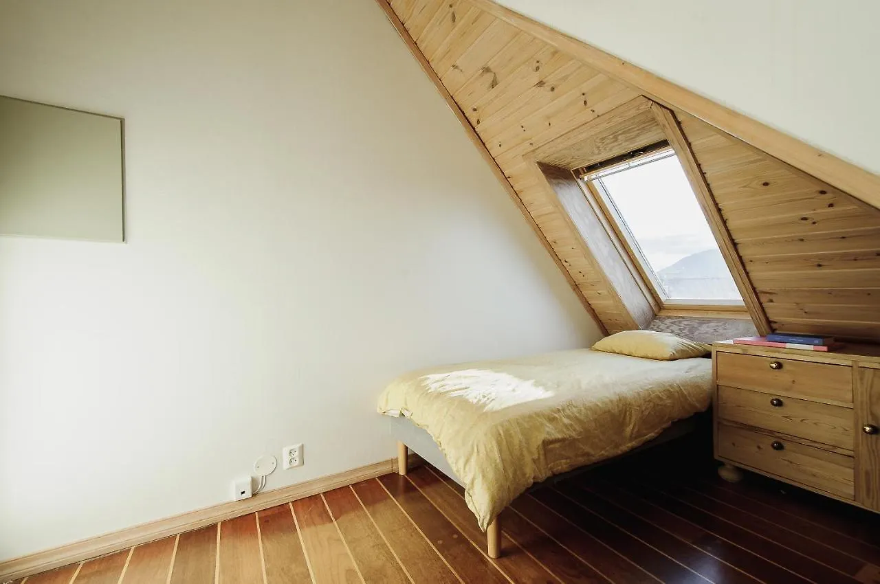 Spacious Penthouse With Grand Terrace Bergen