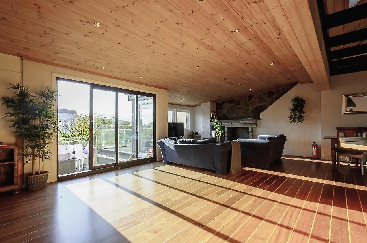 Spacious Penthouse With Grand Terrace Bergen Apartament